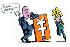 秦都为什么选择专业追讨公司来处理您的债务纠纷？